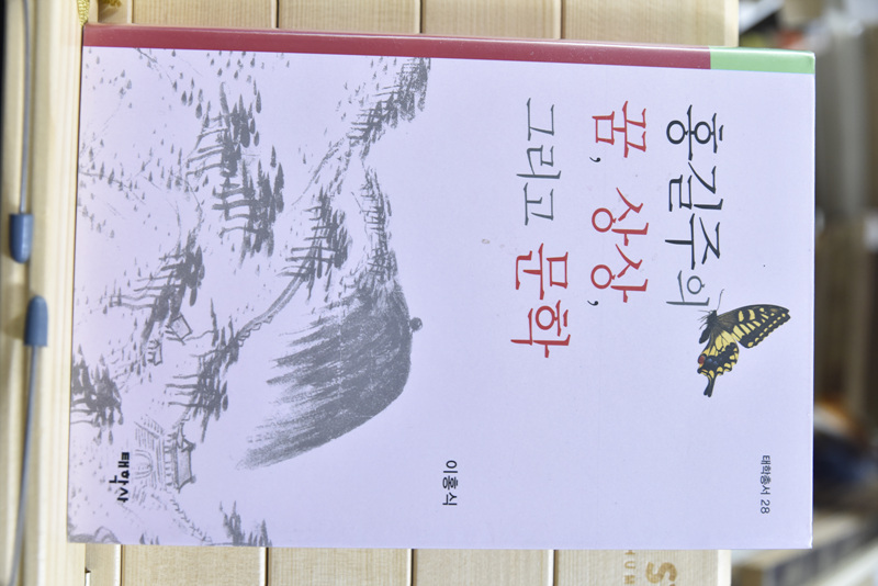 홍길주의 꿈, 상상, 그리고 문학