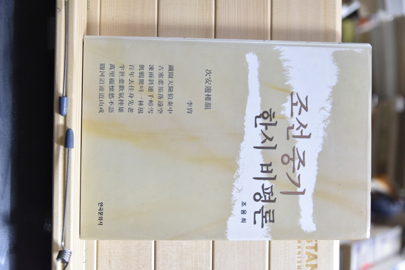 조선중기 한시비평론