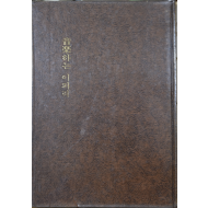 음악하는 이파리 (김재흔 시집)