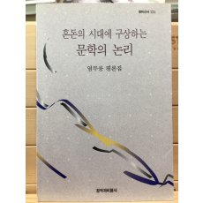 혼돈의 시대에 구상하는 문학의 논리 (창비신서 134)