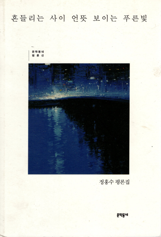 흔들리는 사이 언뜻 보이는 푸른빛 (정홍수 평론집)
