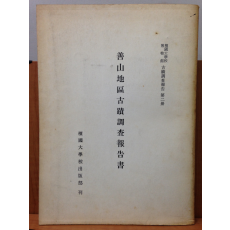 선산지구고분 조사보고서
