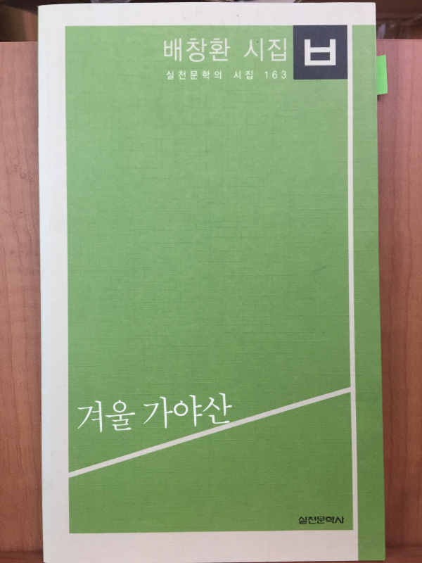 겨울 가야산(배창환 시집,초판)