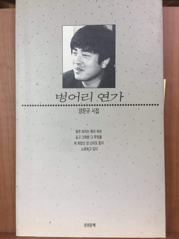 벙어리 연가(양문규 시집,초판)