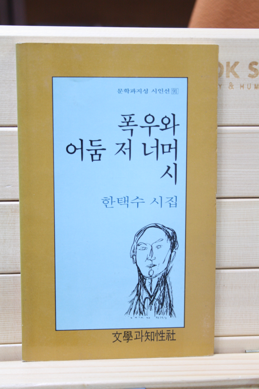 폭우와 어둠 저 너머 시 (한택수 시집,초판)