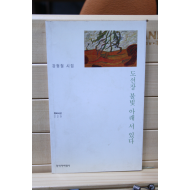 도선장 불빛 아래 서 있다 (강형철시집,초판,저자서명본)