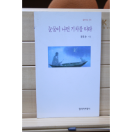 눈물이 나면 기차를 타라 (정호승시집,초판,저자서명본)