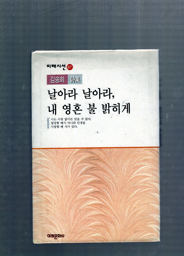 날아라 날아라, 내 영혼 불 밝히게 (김송희시집,초판)