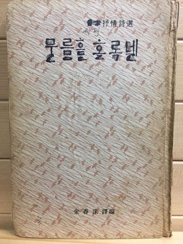 구름은 흐르네 (일본서정시선)