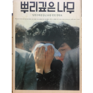 뿌리깊은 나무(1980년 6,7월 합병호,통권52호)