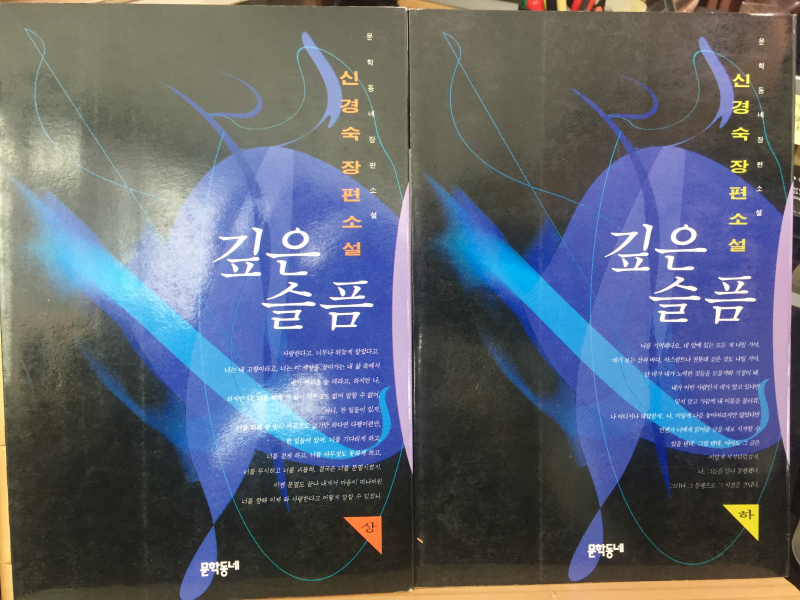 깊은 슬픔 상,하 전2권