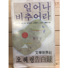 일어나 비추어라 (오혜령고백록)