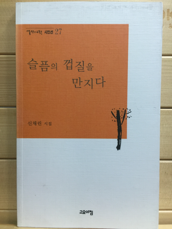 슬픔의 껍질을 만지다