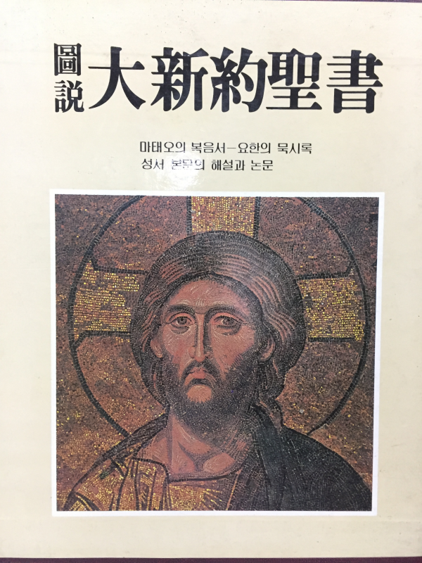 도설 대신약성서 (마테오의 복음서-요한의 묵시록 성서 본문의 해설과 논문)