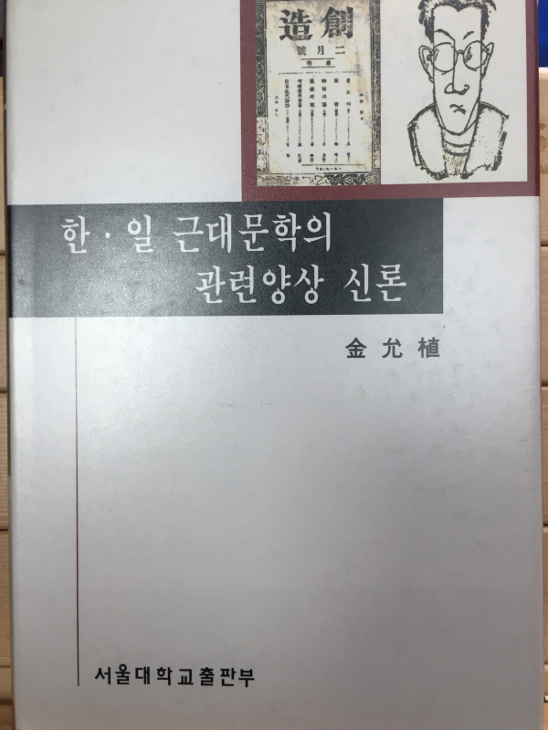 한일 근대문학의 관련양상 신론