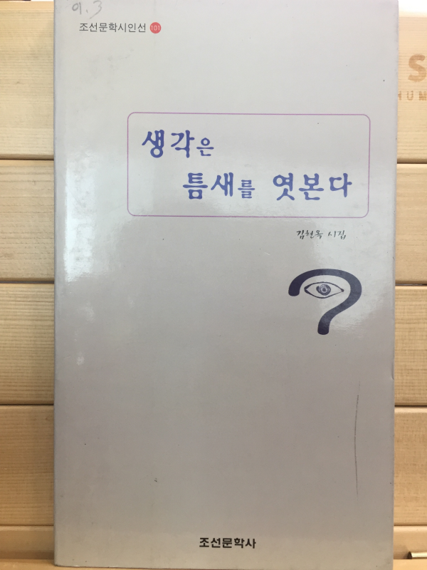 생각은 틈새를 엿본다 (김현옥시집