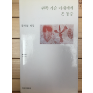 왼쪽 가슴 아래께에 온 통증 (장석남시집,초판,저자서명본)