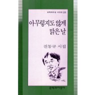 아무렇지도 않게 맑은 날 (진동규시집,초판)