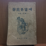 애달픈청춘 (홍천성,1946)