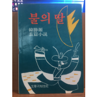 불의 딸 (한승원 장편소설)