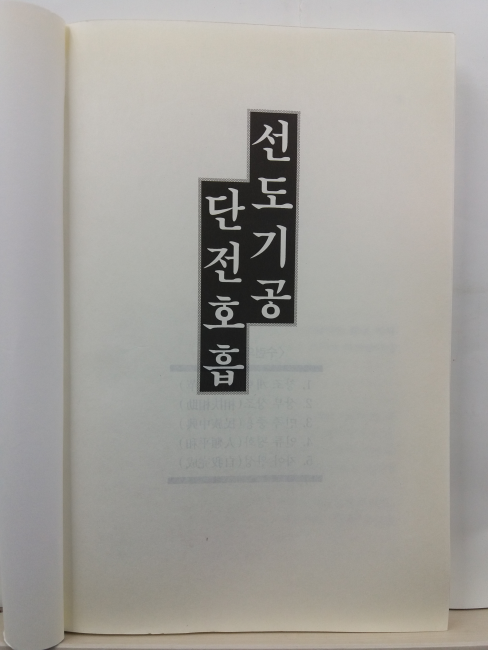 선도기공 단전호흡 : 현대인을 위한 전통비전의 심신 수련법(김영현 지음, 1999)