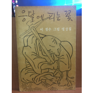 응달에 피는 꽃 (이철수 그림 명상집)