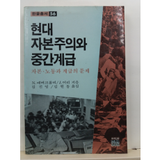 현대 자본주의와 중간계급 : 자본. 노동과 계급의 문제