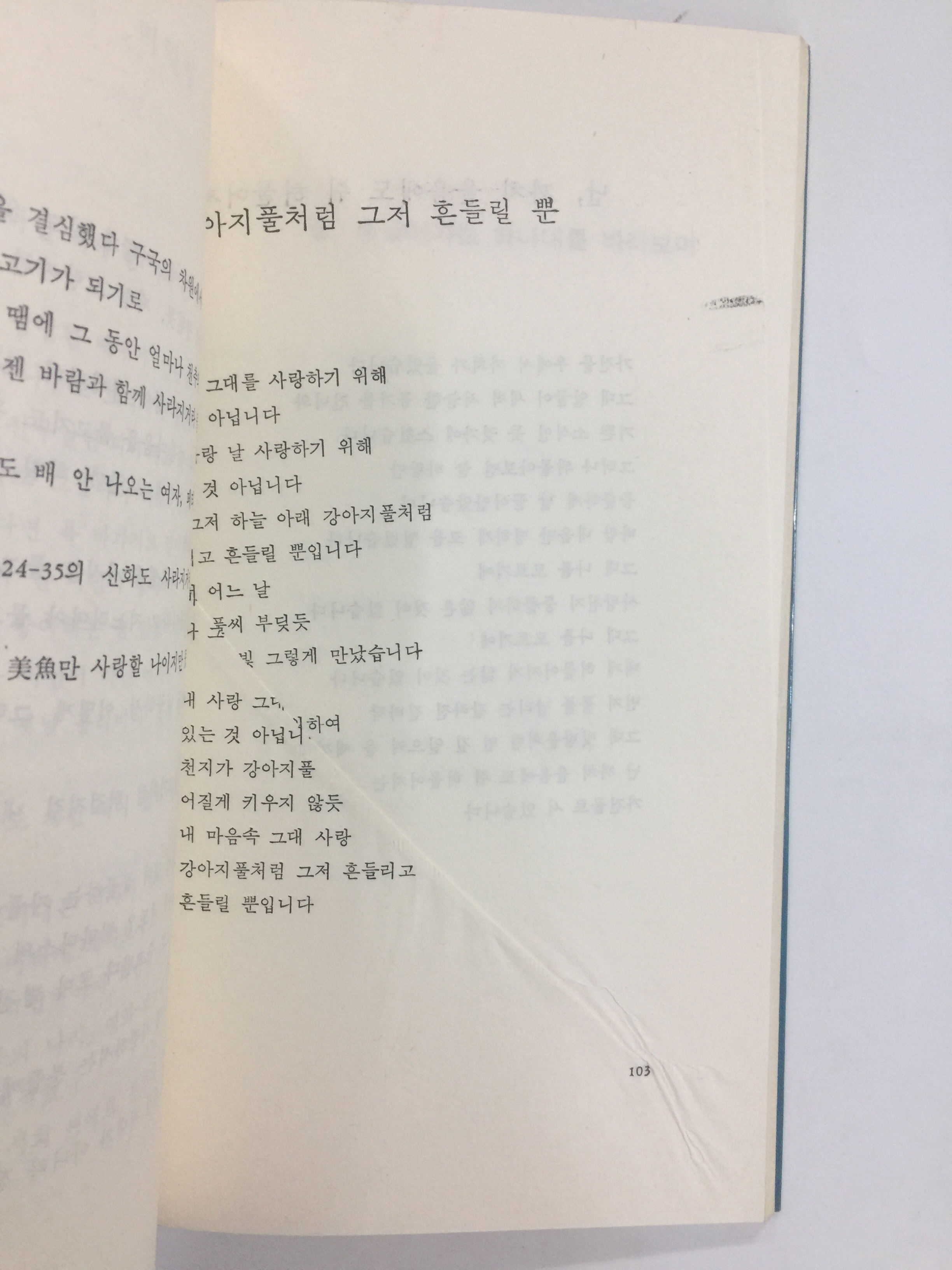 바람부는 날이면 압구정동에 가야 한다 (유하시집,1991년초판)