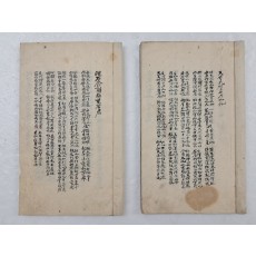 세필로 정서한 명문 필사본 2책