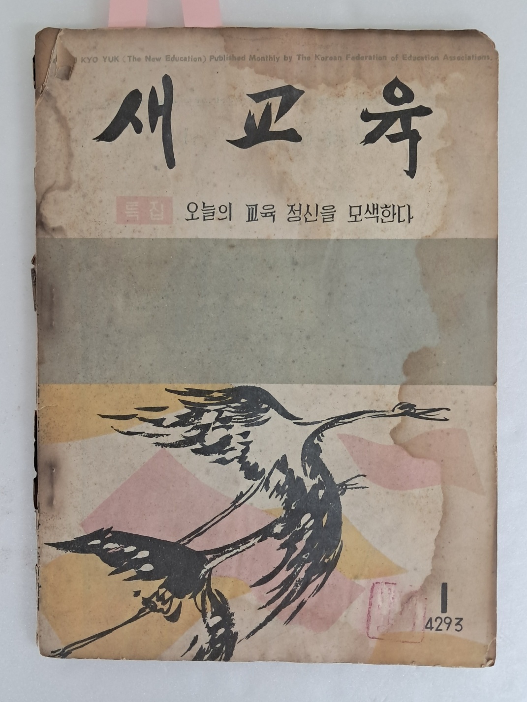 [새교육] 통권 81호