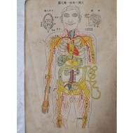 최신통속 위생대감 最新通俗 衛生大鑑