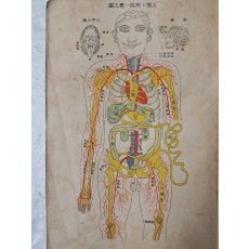 최신통속 위생대감 最新通俗 衛生大鑑