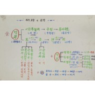 대한민국 정부 조직 및 지방 행정 체계를 도식화한 교육용 자료 ‘우리 고장의 관청’