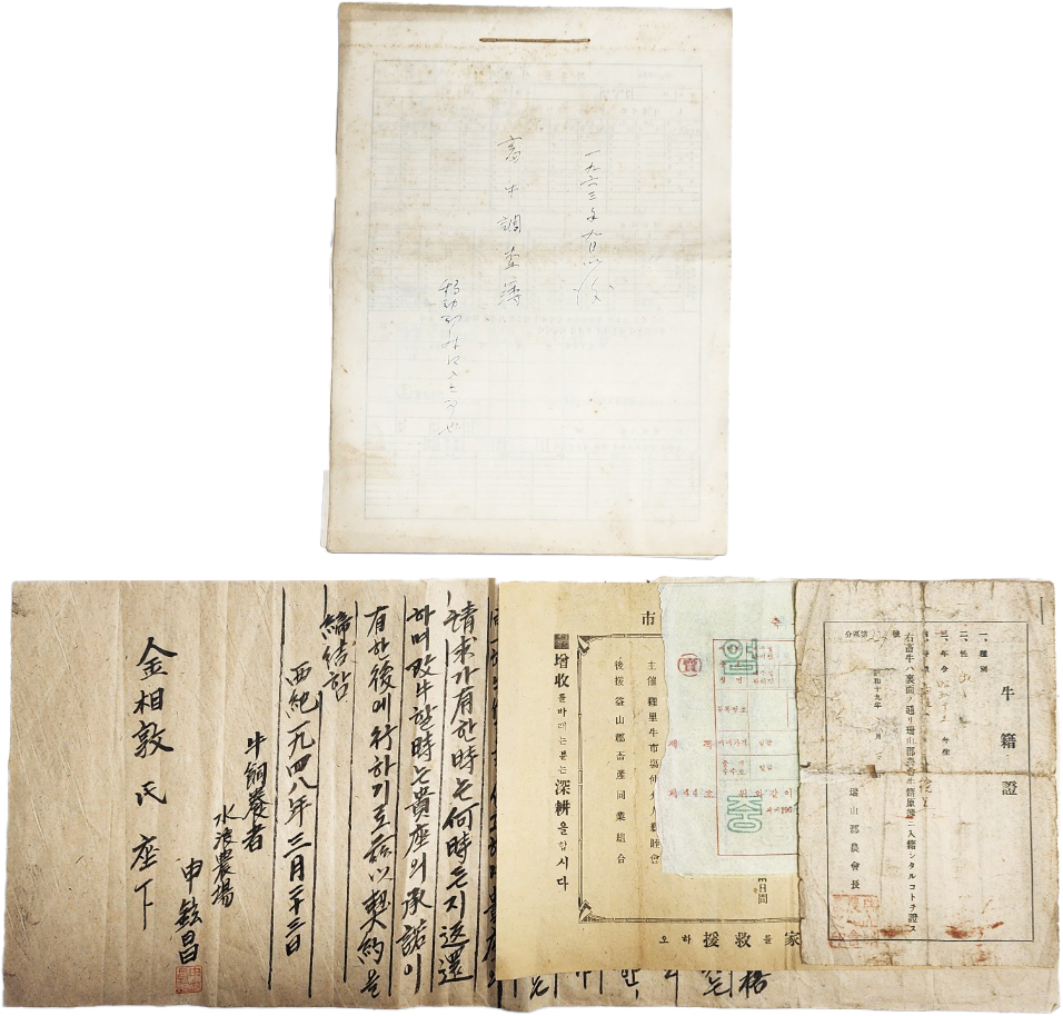 [524] 소의 종류와 털 색깔, 연령 및 금액 등이 기재된 [세우계약서 貰牛契約書] 등 소관련자료 5종 7점 일괄