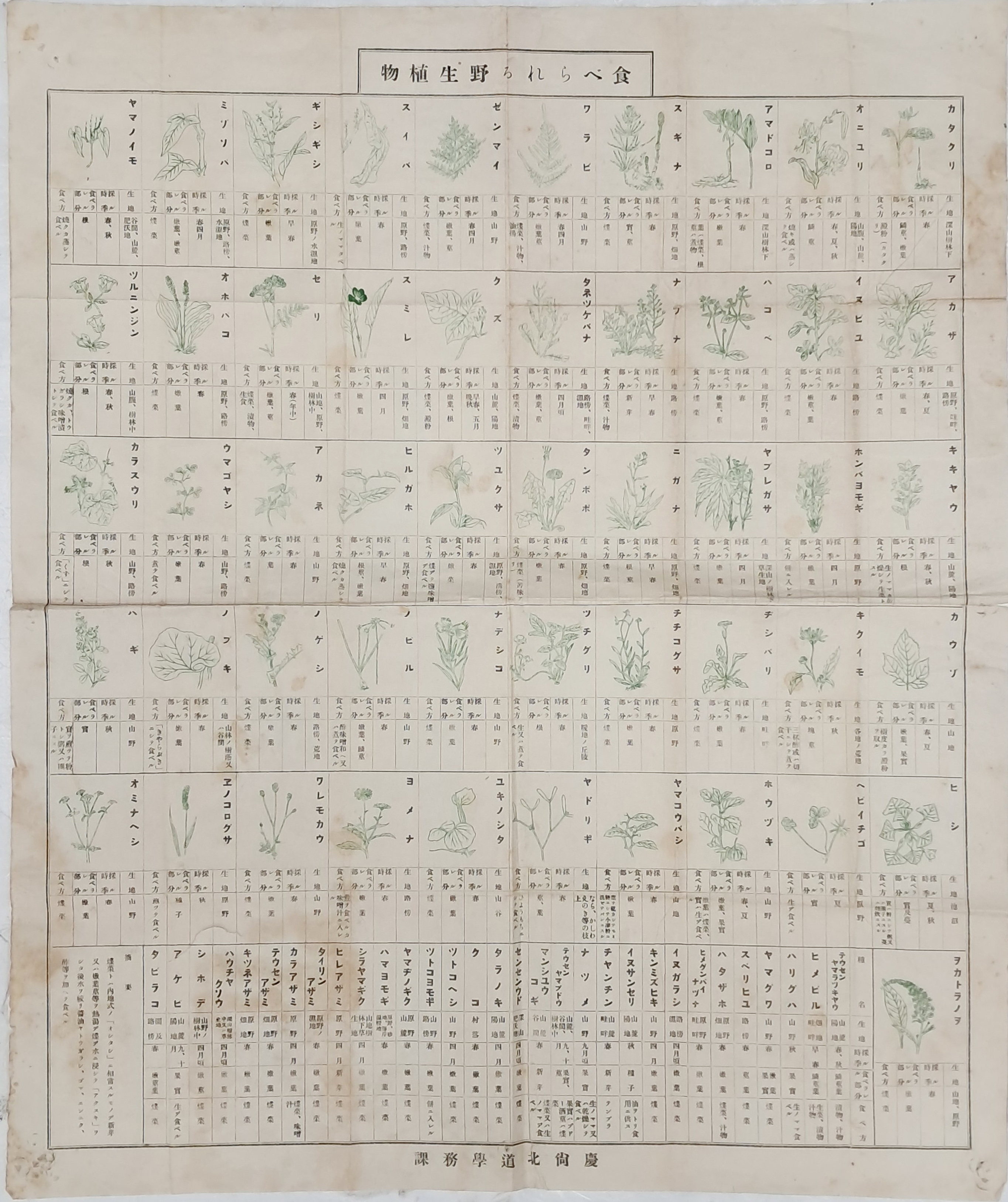 [29] 일제강점기 한국의 식생활 연구를 위한 야생 구황식물 안내 도표