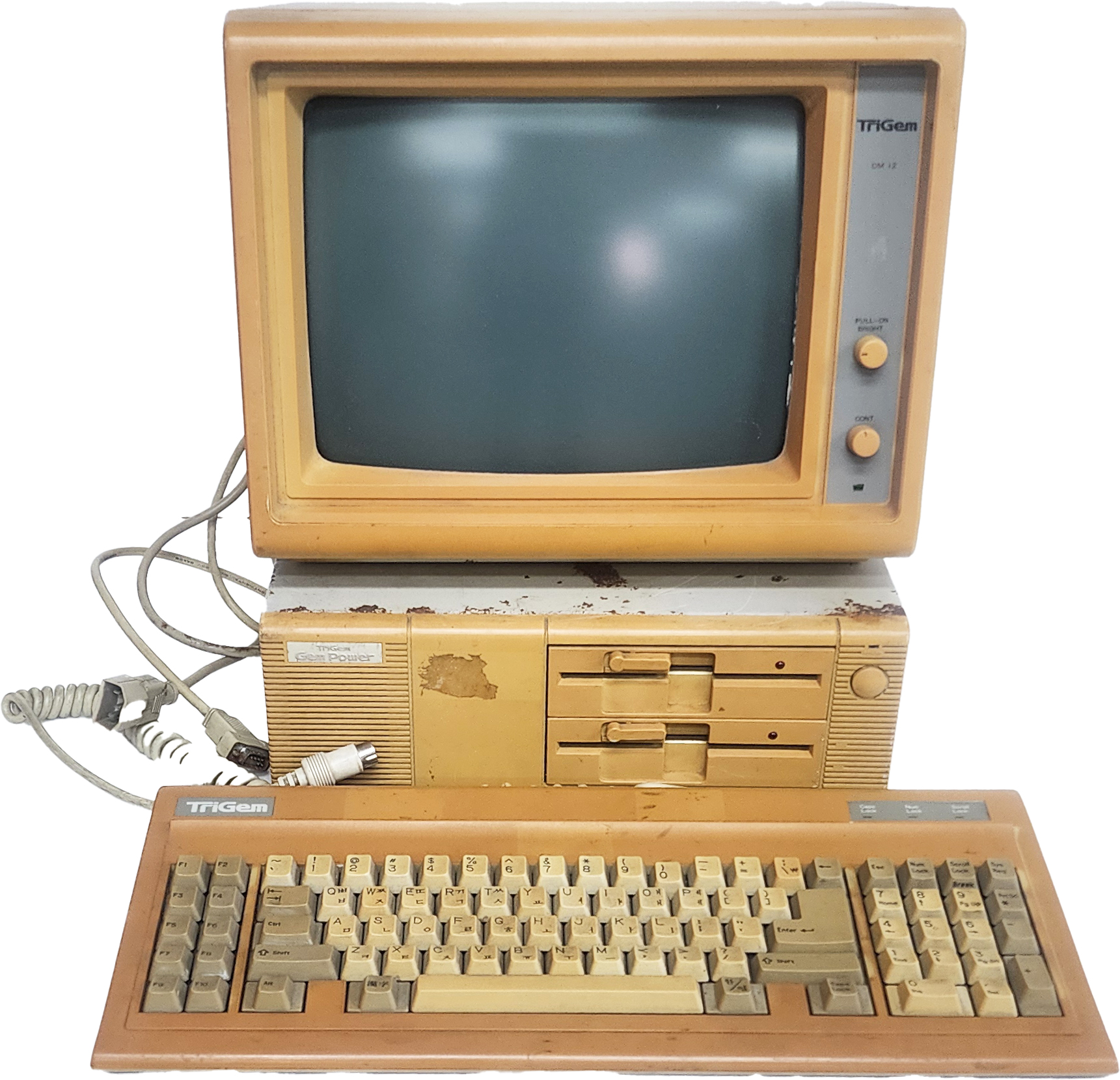 [334] 트리젬(Trigem) DM12-AA