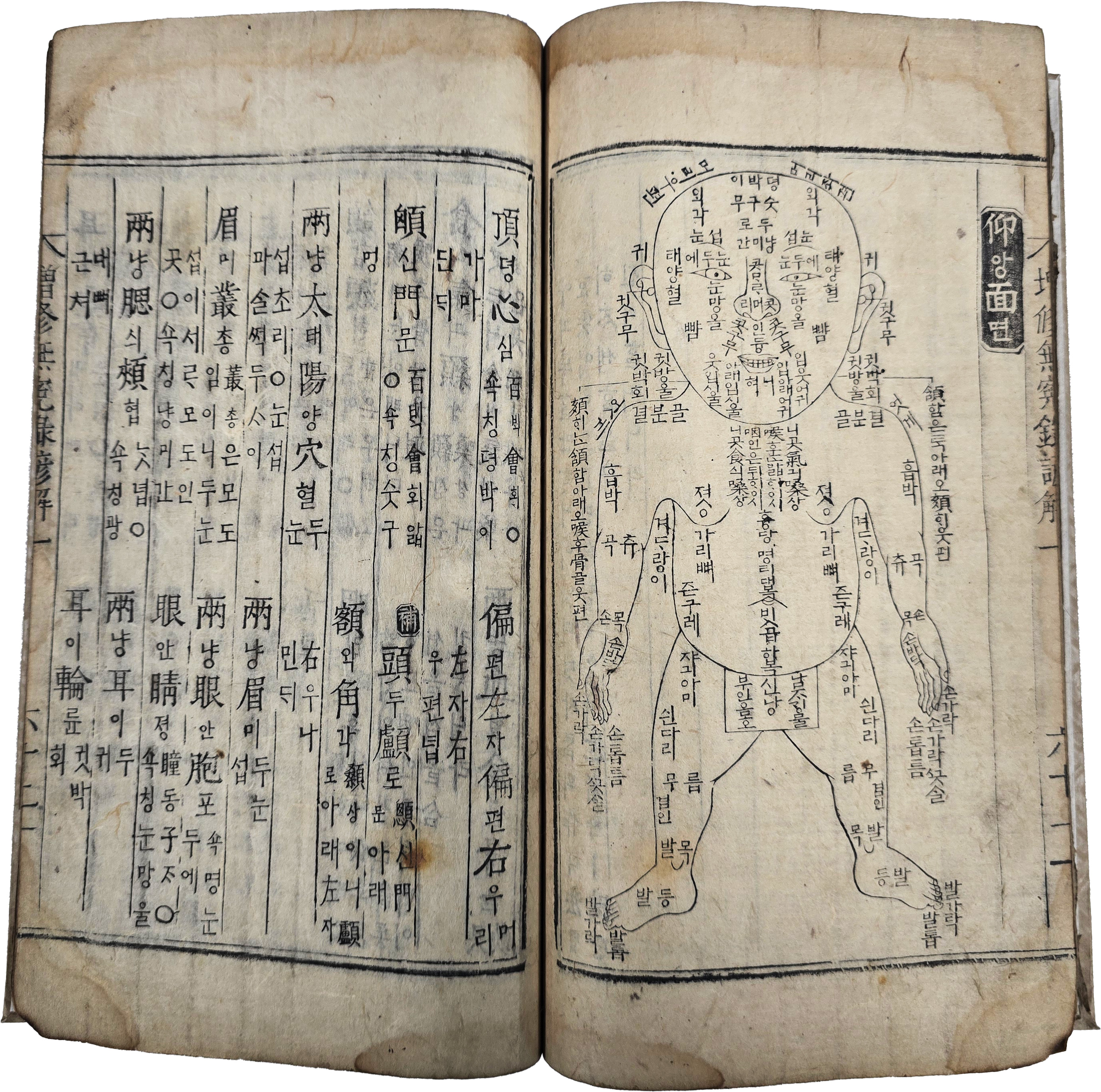 [250] 증수무원록대전 2권1책, 증수무원록언해 3권2책 등 5권 3책 완질