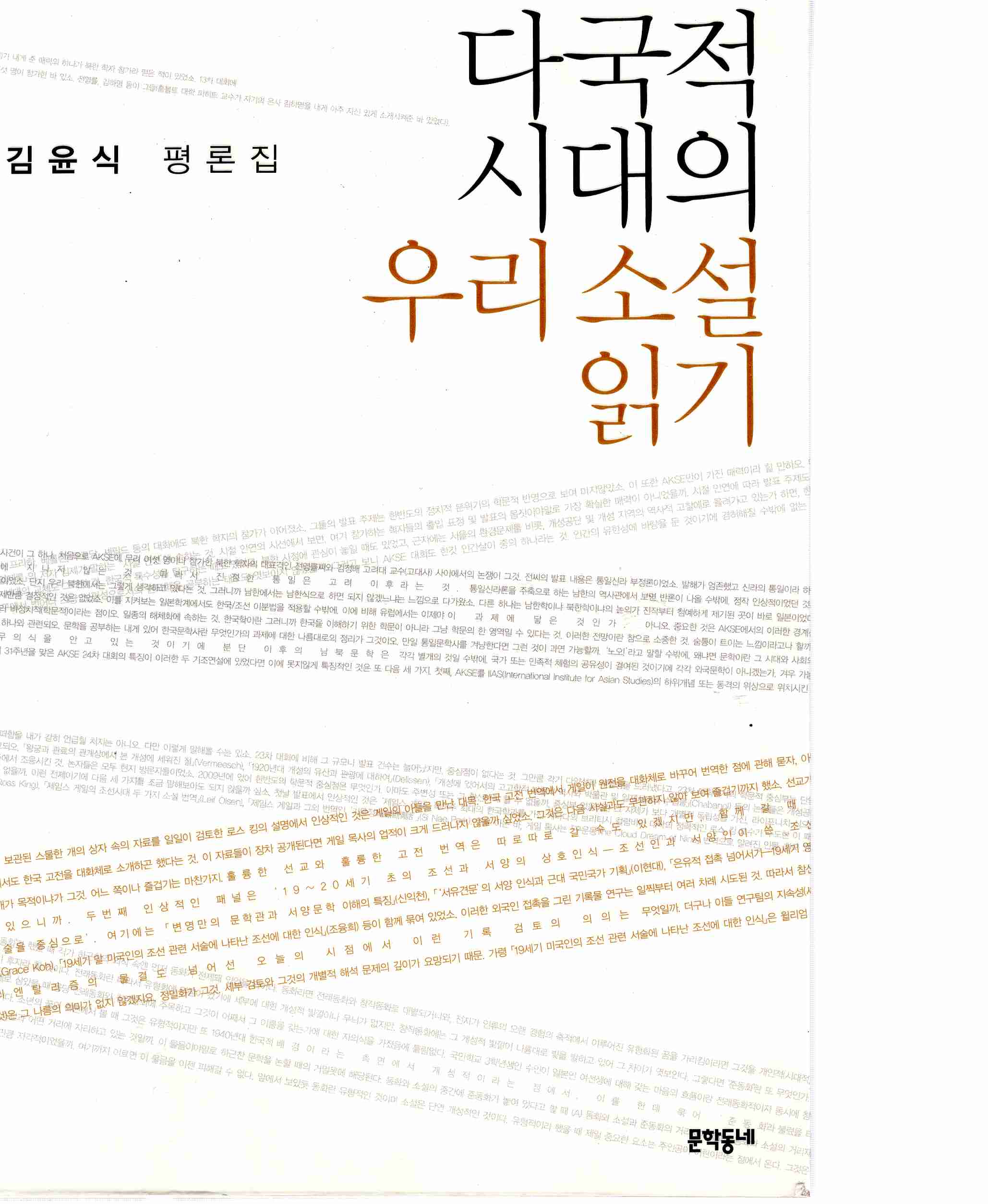 다국적 시대의 우리 소설 읽기 (김윤식 평론집)