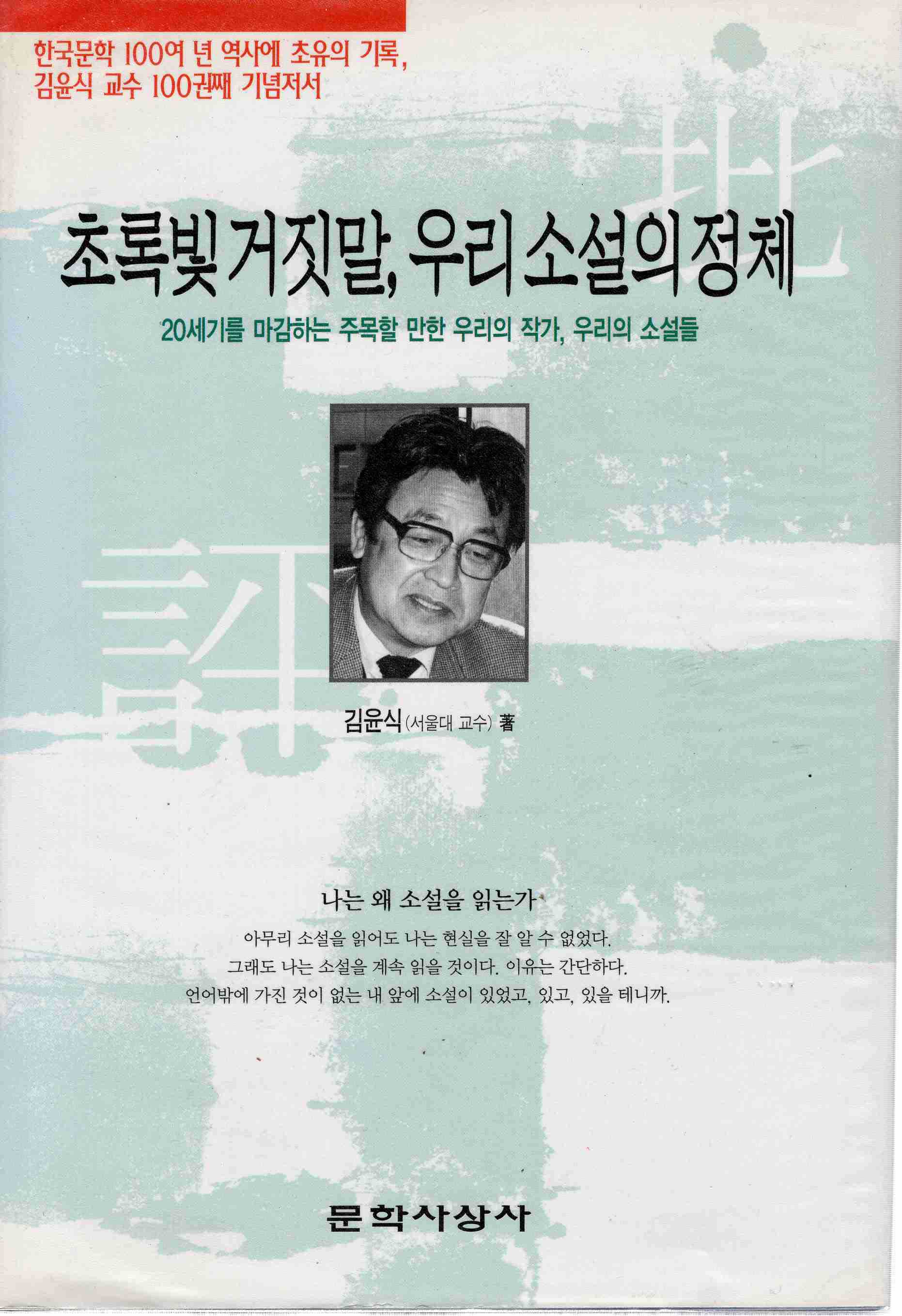 초록빛 거짓말, 우리 소설의 정체