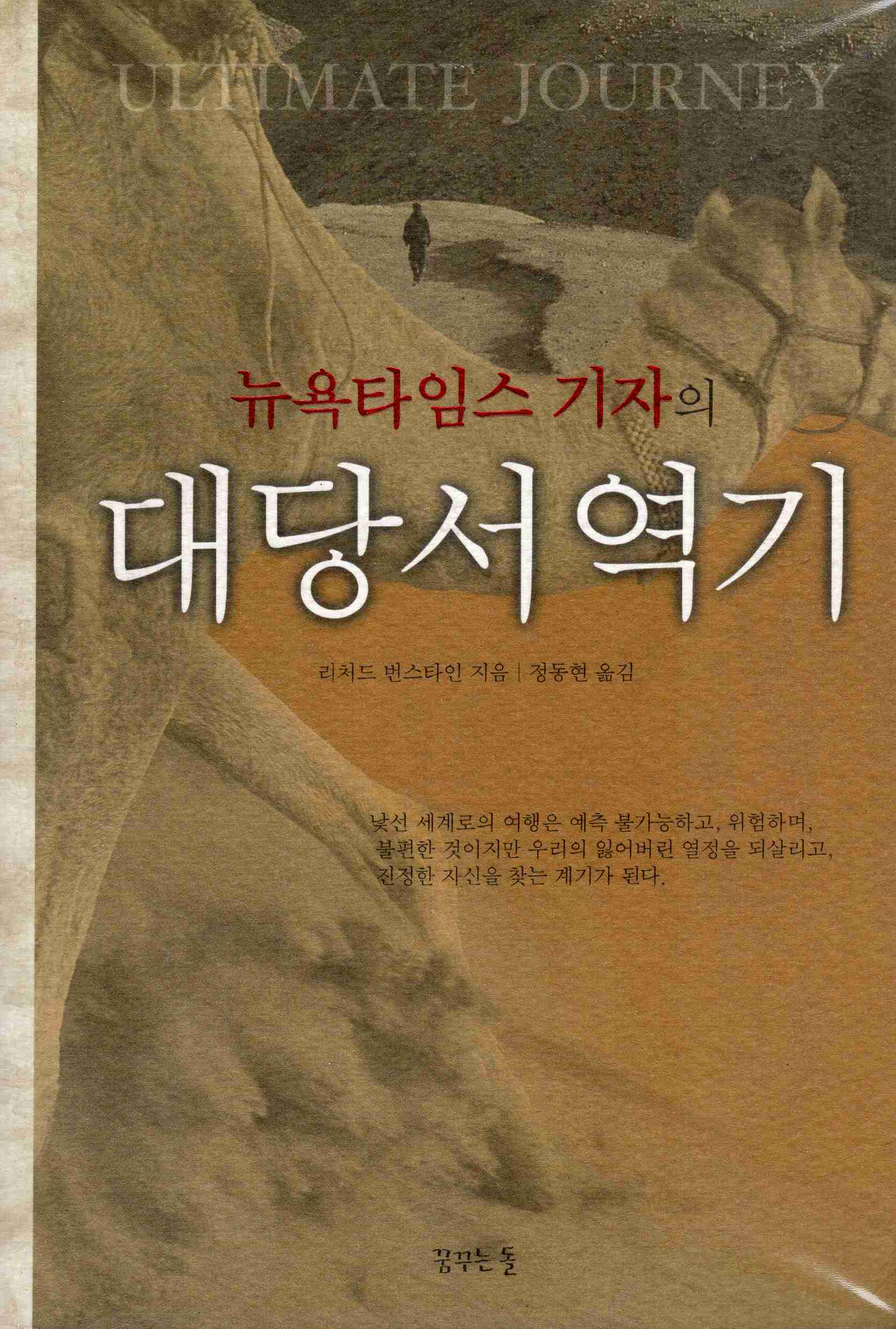 대당서역기 (뉴욕타임스 기자의)