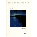 흔들리는 사이 언뜻 보이는 푸른빛 (정홍수 평론집)