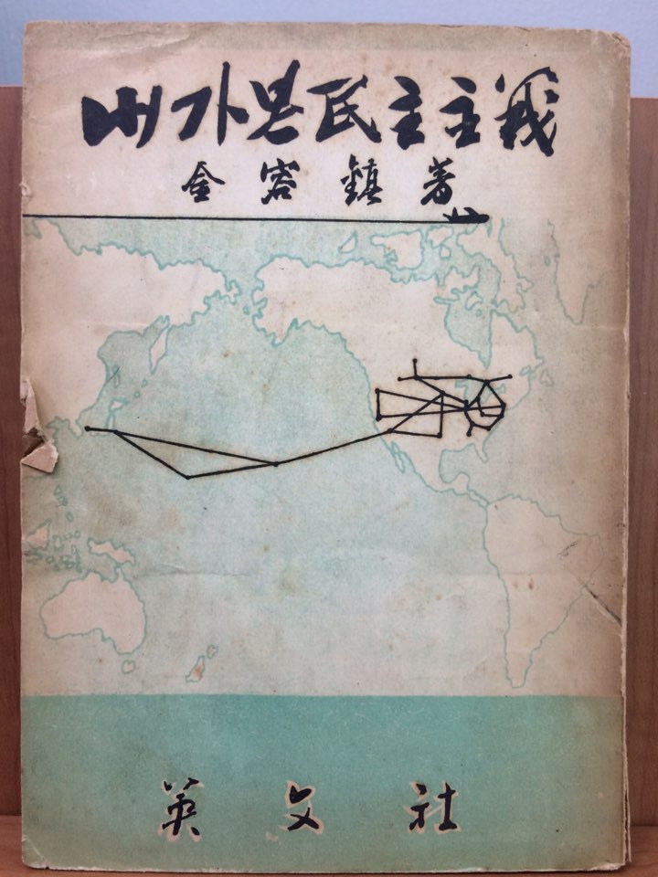 내가 본 민주주의