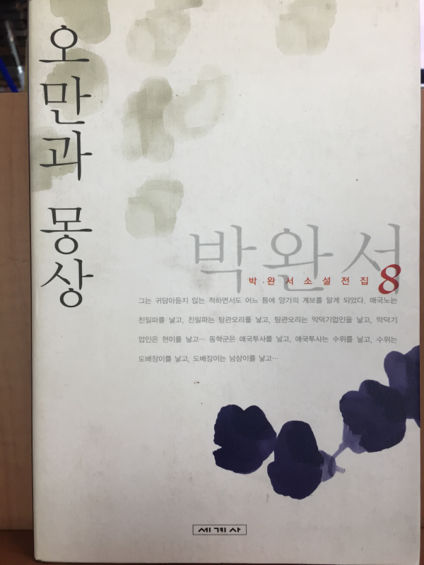 오만과 몽상(박완서 소설전집8)