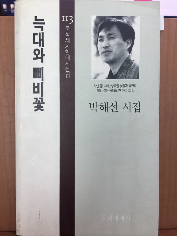 늑대와 삐비꽃(박해선 시집)