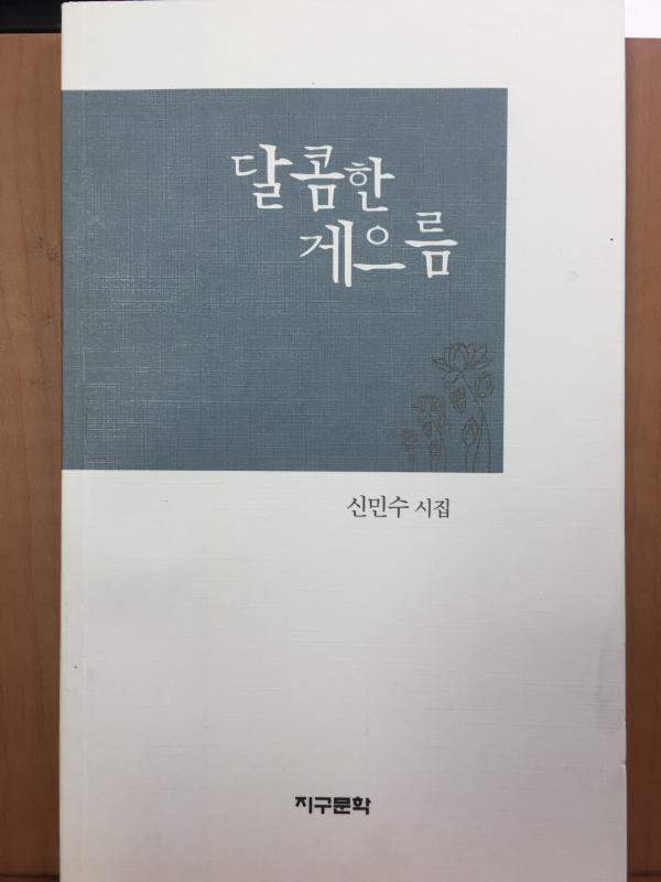달콤한 게으름 (신민수 시집,초판)