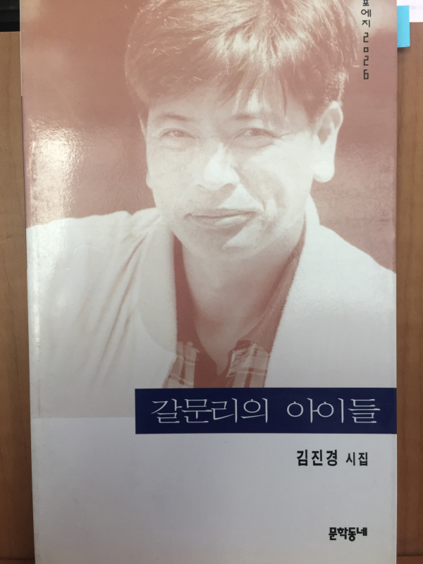 갈문리의 아이들 (김진경 시집,초판)