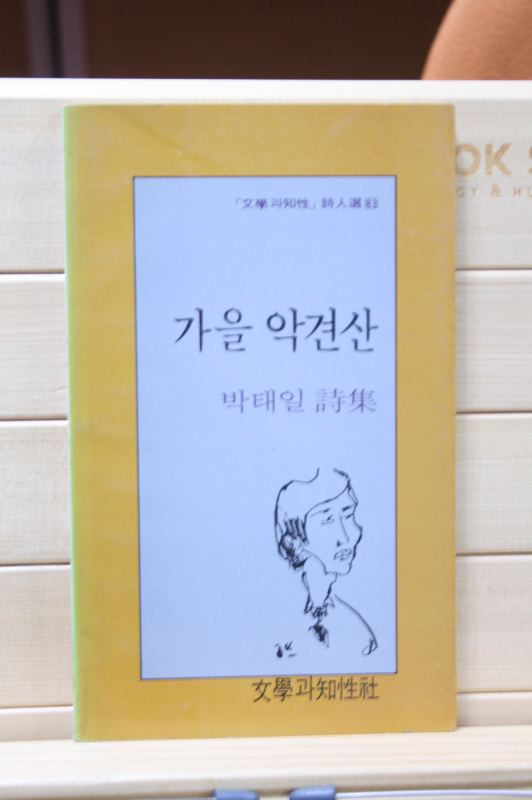 가을 악견산 (박태일 시집,초판)