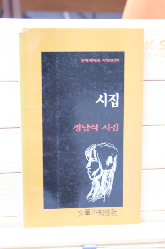 시집 (정남식 시집,초판)