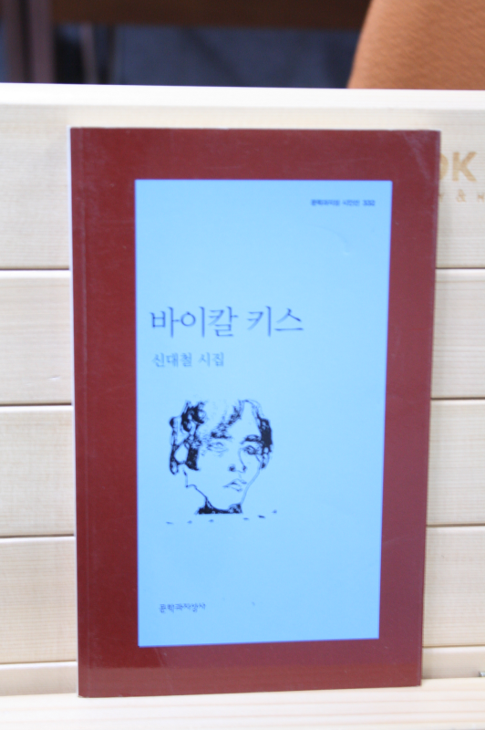 바이칼 키스 (신대철시집,초판)