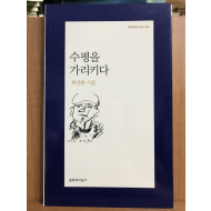 수평을 가리키다 (위선환시집,초판)